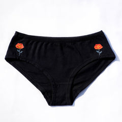 Hipster 01 - Sweat Free Underpant Briefs for Women