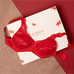 Blossom 003 – Padded Lace Bra in Chic Colours